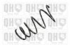 QUINTON HAZELL QCS6171 Coil Spring